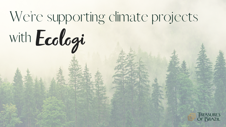We’re supporting climate projects Treasures of Brazil