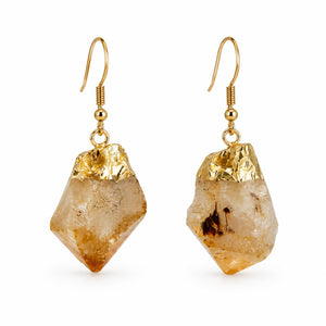 EarthLuxe Treasures Natural Stones Earrings
