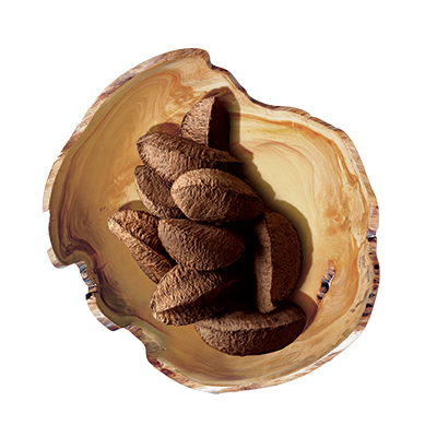 CASTANHA (Brazilian Nut) - HAND CREAM - EKOS - 40G - Vegan